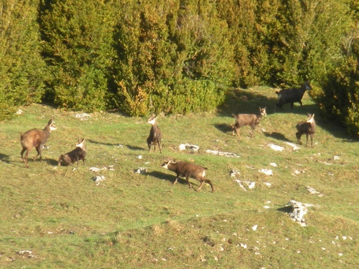 Hotel Du Col De La Machine Saint-Jean-en-Royans Dış mekan fotoğraf