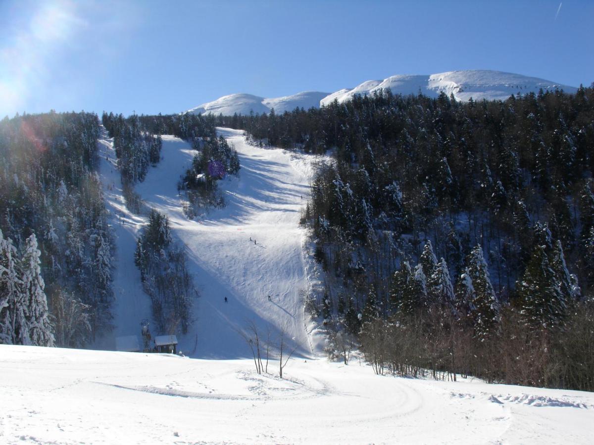 Hotel Du Col De La Machine Saint-Jean-en-Royans Dış mekan fotoğraf